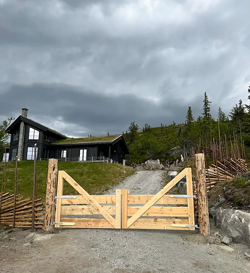 Kjøreport i malmfuru – Nesfjellet